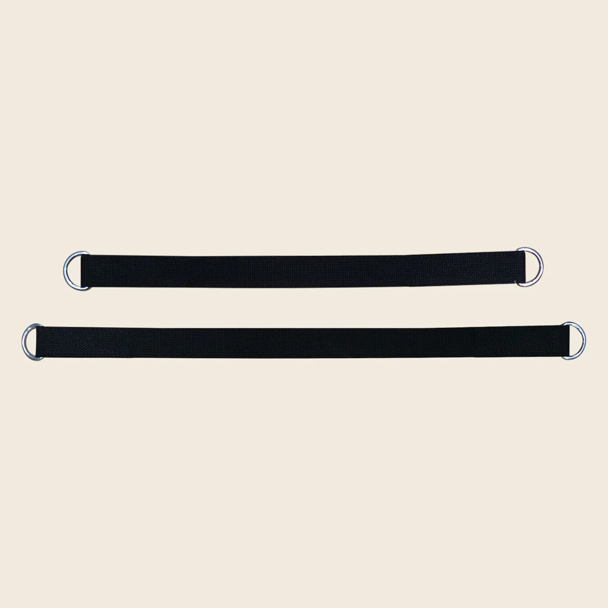 Webbing Straps With D-Ring (Pair)